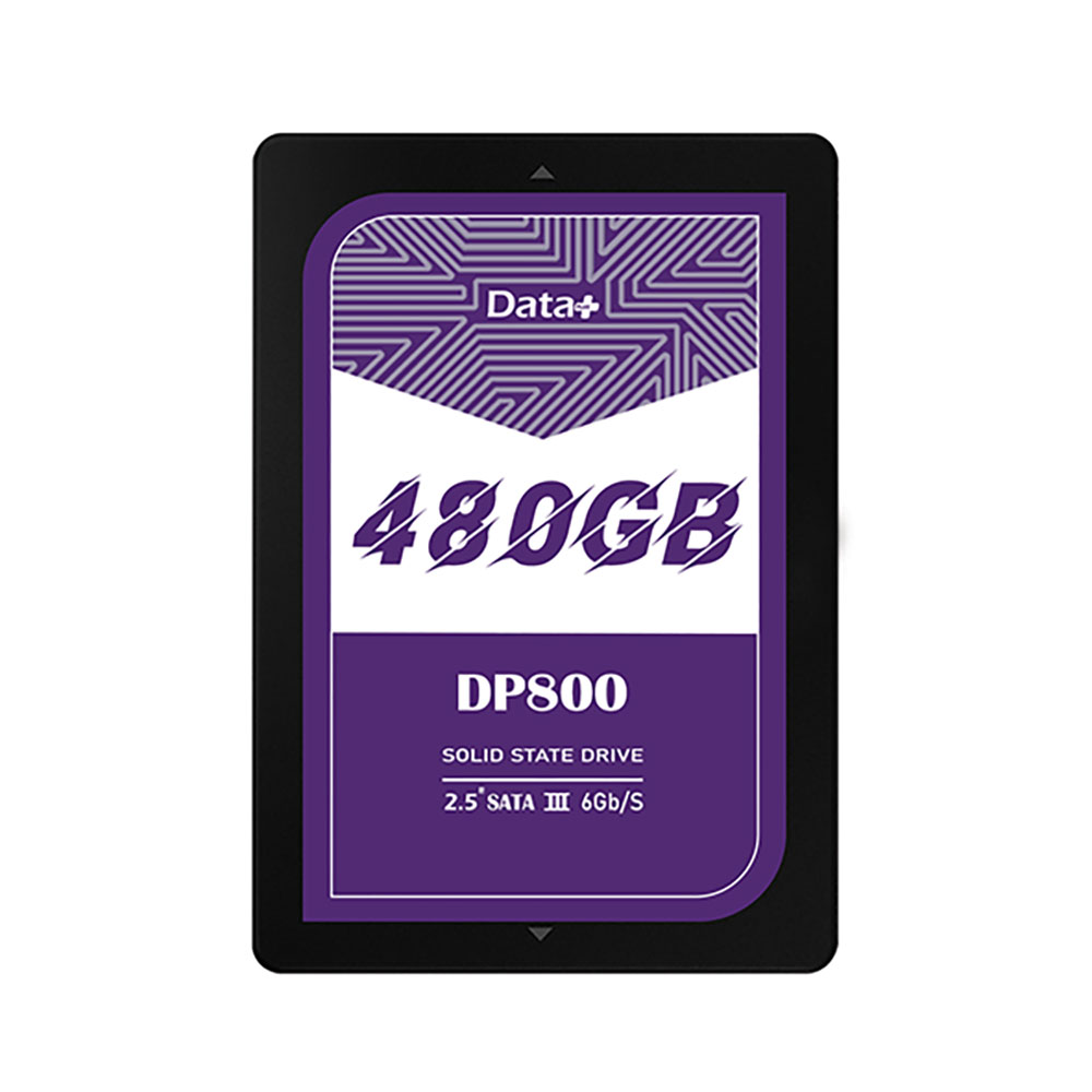DATA PLUS SSD DP800